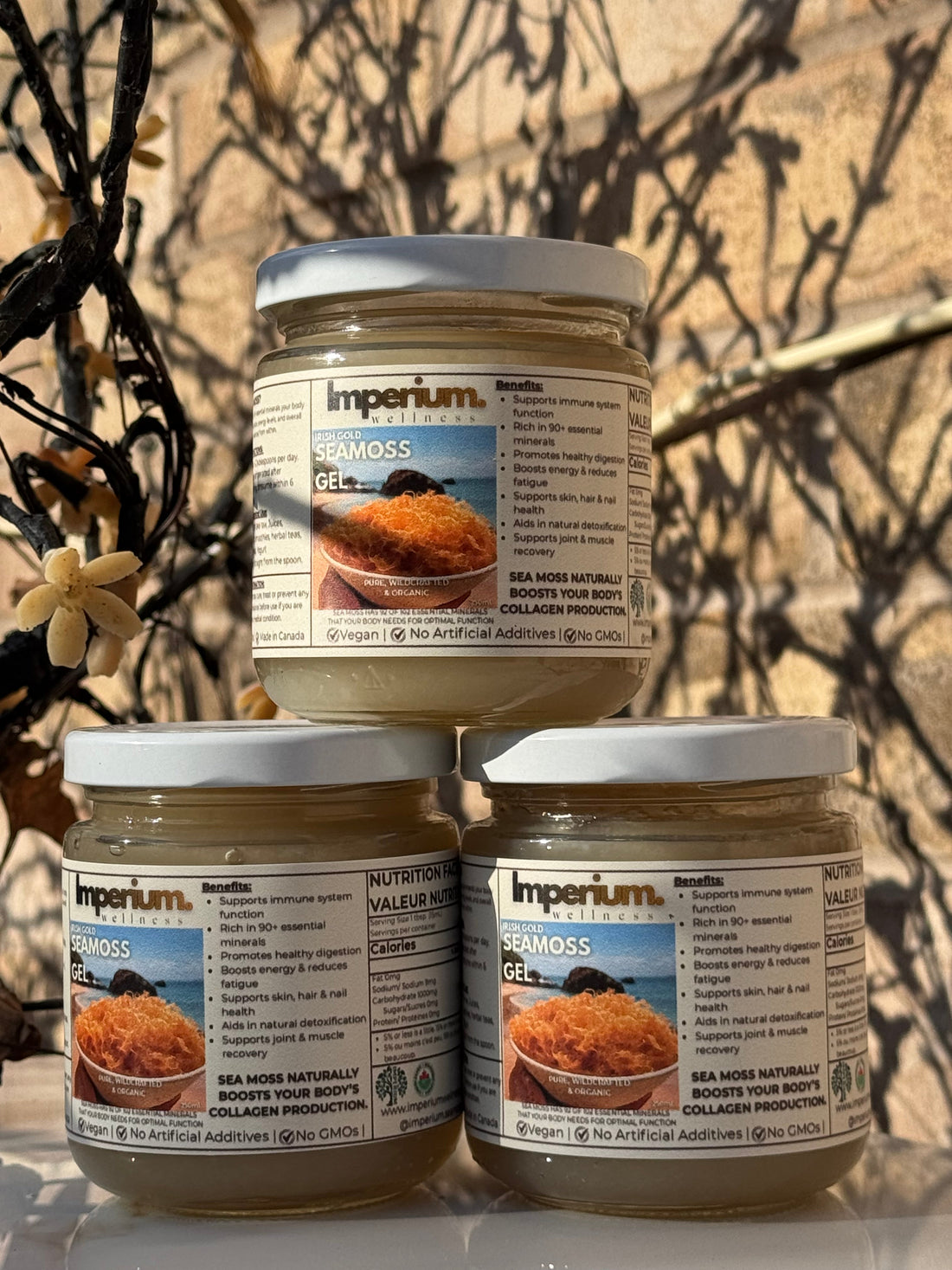 From Ocean to Wellness: The Story of Sea Moss